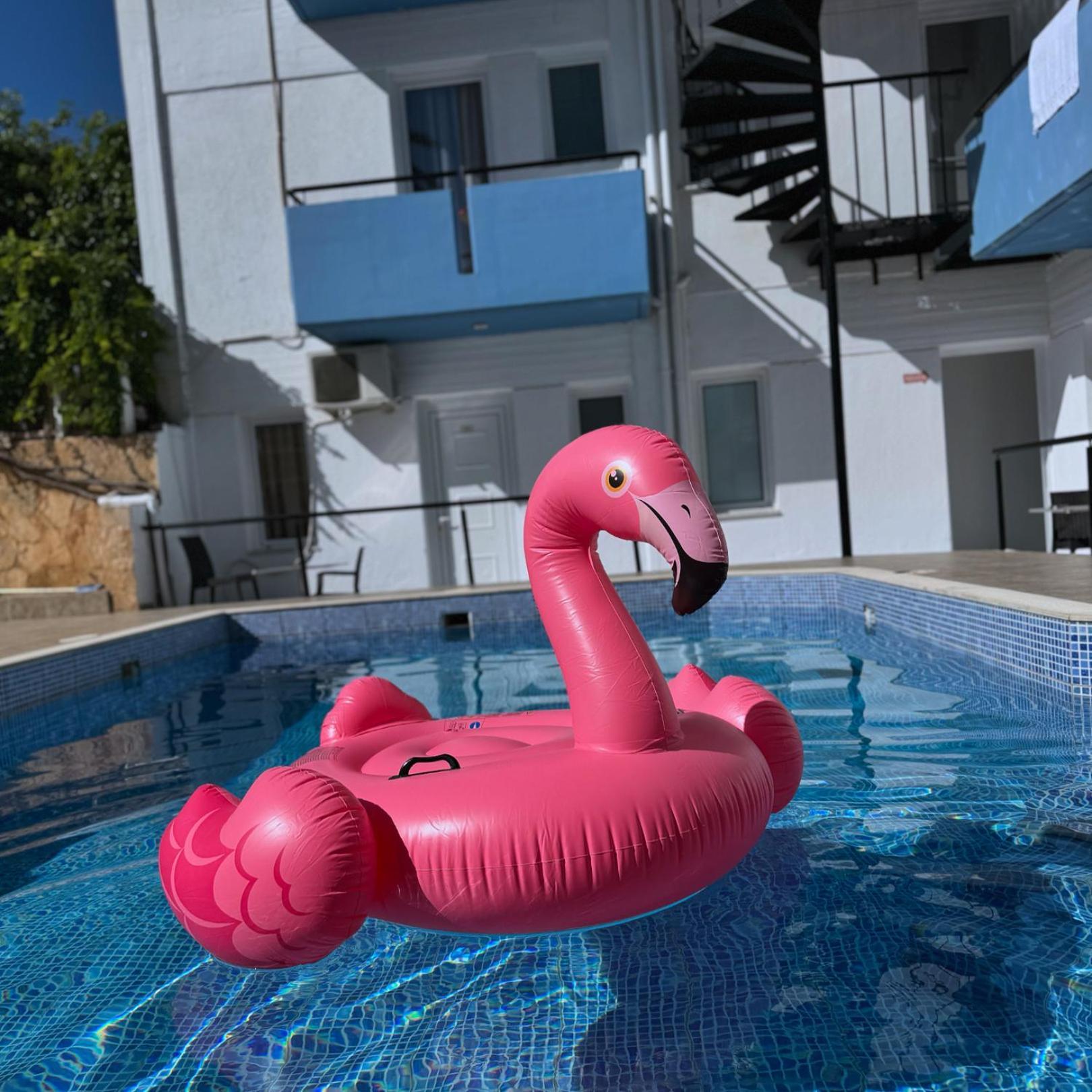 Simple Hotel Hersonissos Blue Hersonissos (Crete) Exterior foto