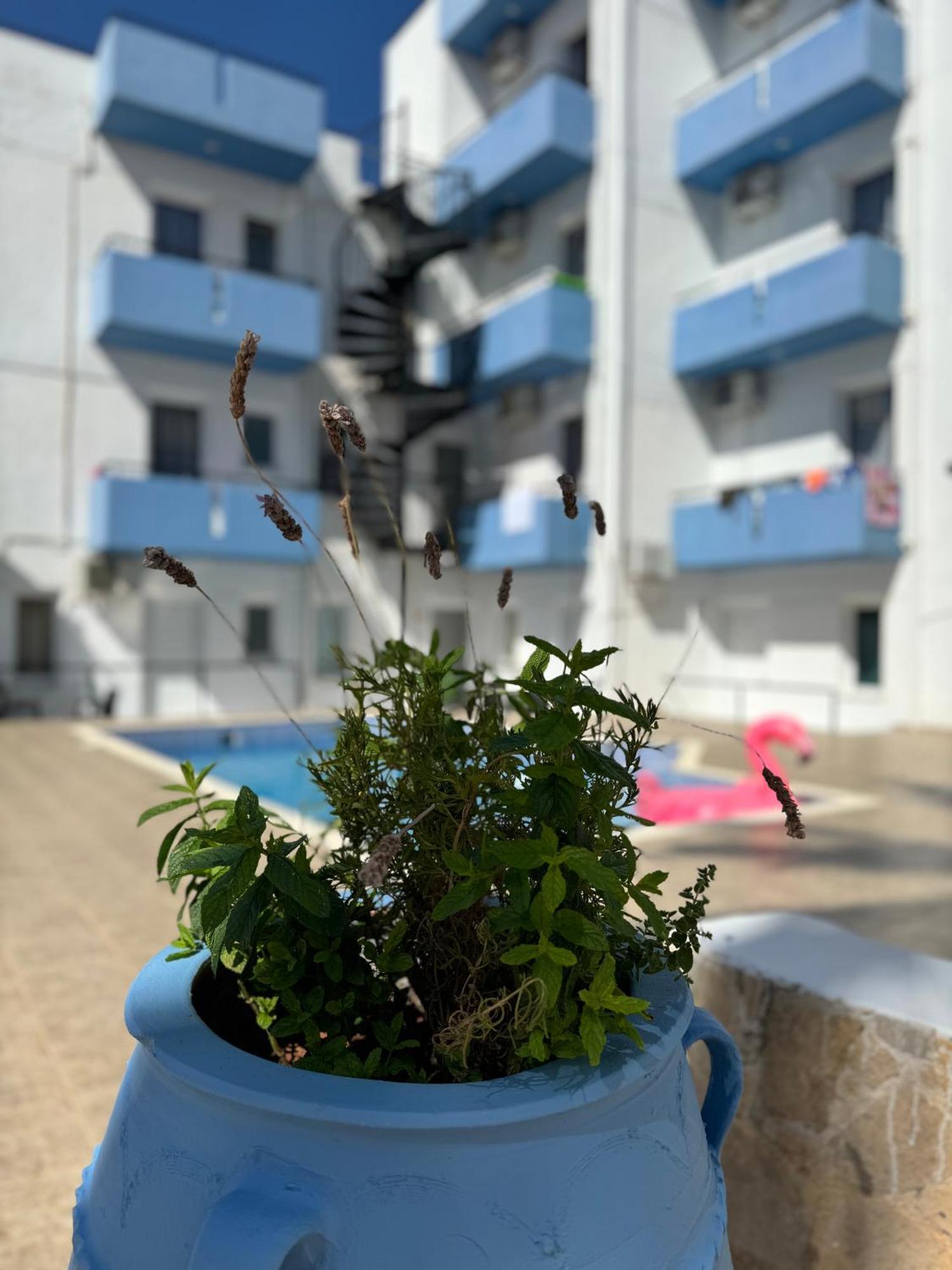 Simple Hotel Hersonissos Blue Hersonissos (Crete) Exterior foto